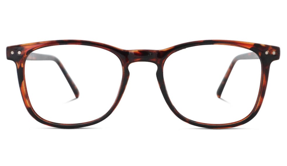 ScreenTime Taylor Computer Glasses Tortoise BlockBlueLight