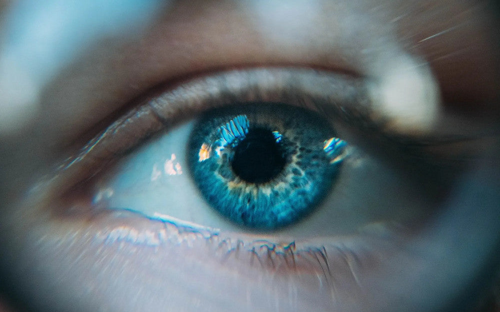 Are Light Coloured Eyes More Sensitive to Blue Light