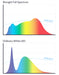 BlockBlueLight Full Spectrum Lighting BioLight™ - Full Spectrum Light